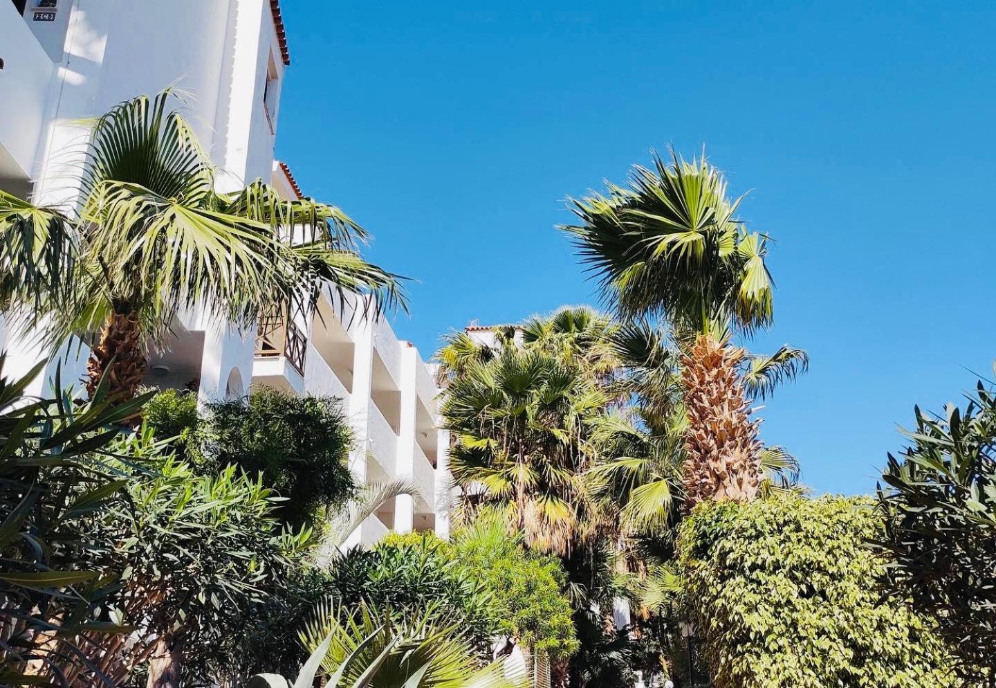 Apartament Amarilla Golf San Miguel de Abona Zewnętrze zdjęcie