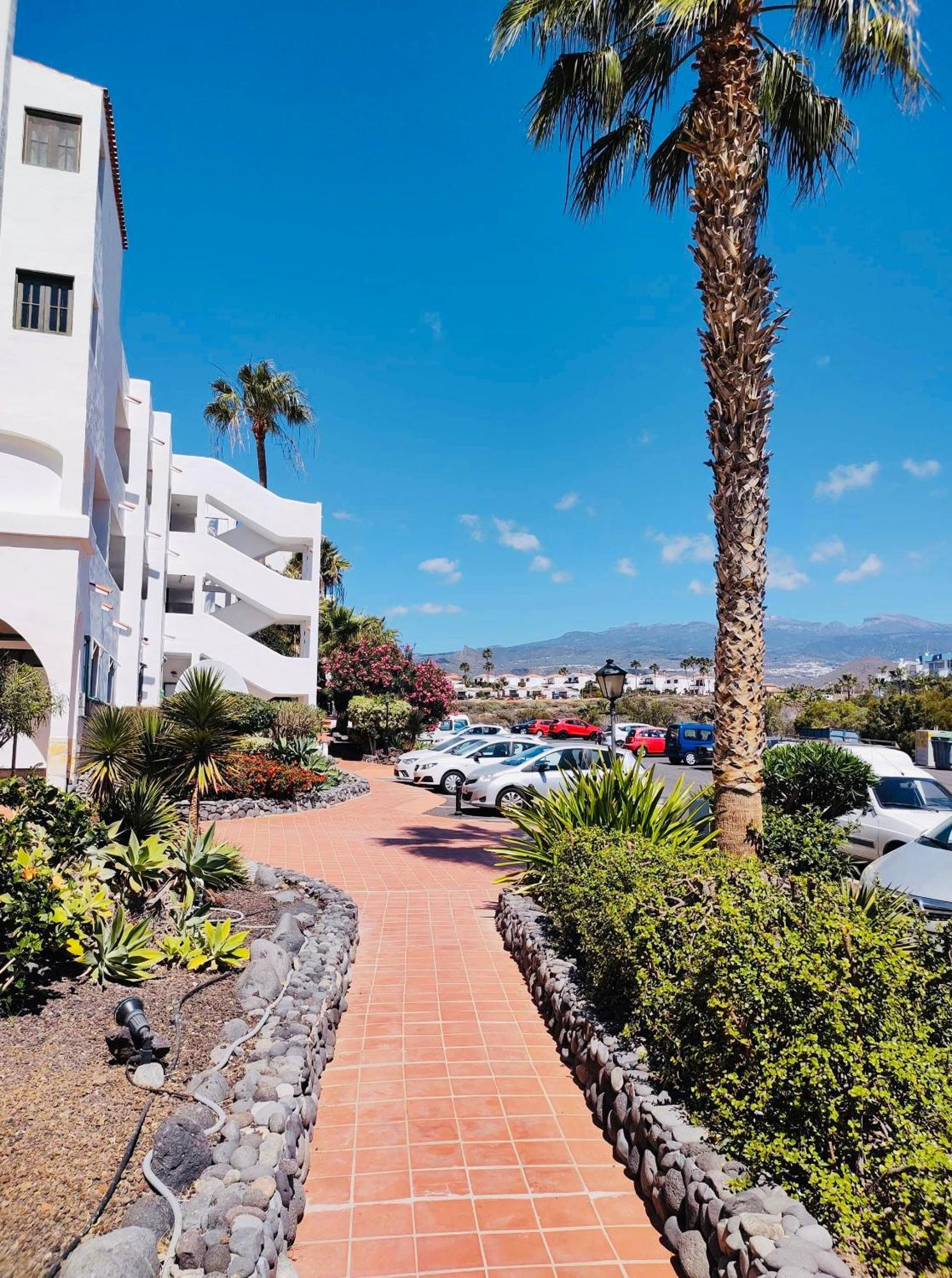 Apartament Amarilla Golf San Miguel de Abona Zewnętrze zdjęcie